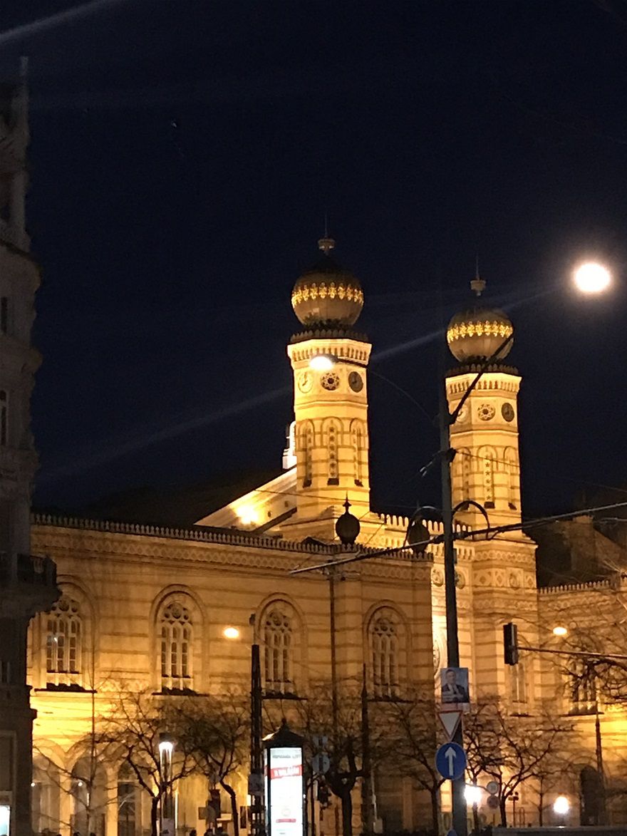 Dohany Sinanogu - Budabeşte