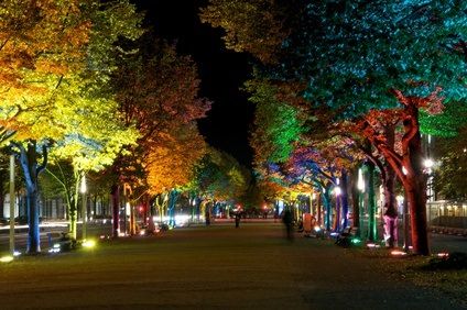 Unterlinden Strasse - Berlin / Almanya